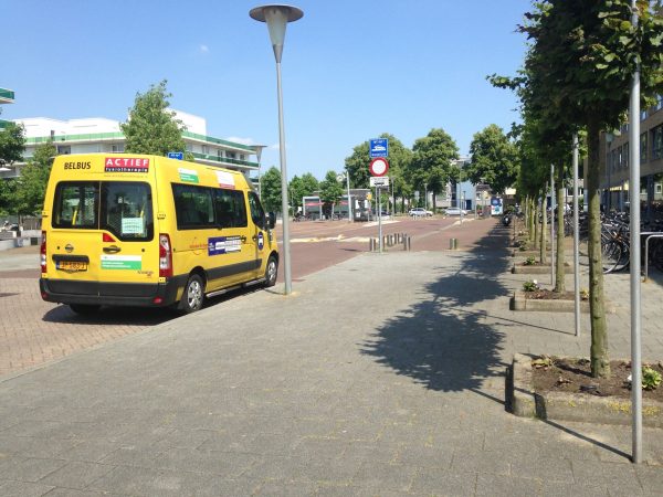 belbuszomer2